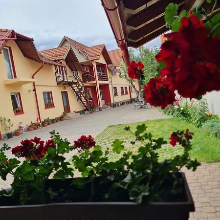 Vila Vladut Zărneşti Exterior foto