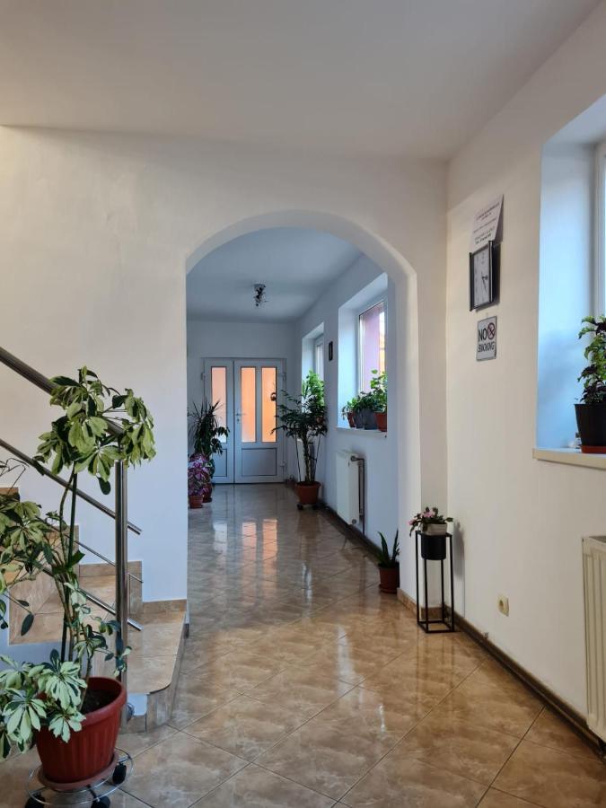 Vila Vladut Zărneşti Exterior foto
