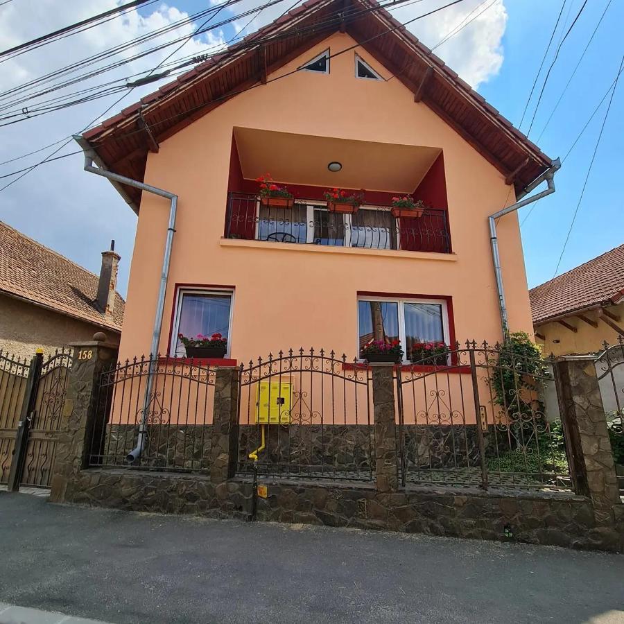Vila Vladut Zărneşti Exterior foto