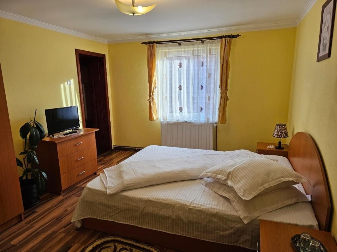 Vila Vladut Zărneşti Exterior foto